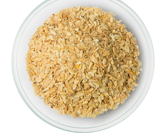 Corn Germ